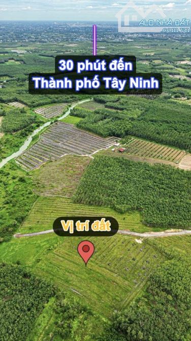 ✨ 1.5 Mẫu có 200M Mặt Tiền & 2.480m2 Đất Ở, tha hồ xây Nhà Xưởng hoặc Nhà Vườn... - 6.5 Tỷ - 6