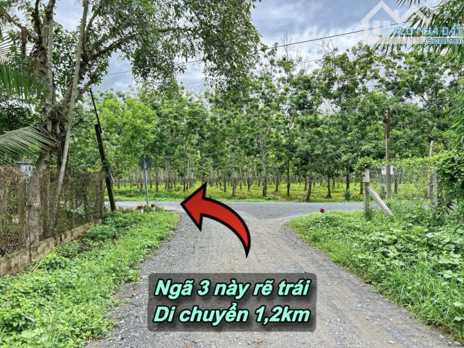 ✨ 1.5 Mẫu có 200M Mặt Tiền & 2.480m2 Đất Ở, tha hồ xây Nhà Xưởng hoặc Nhà Vườn... - 6.5 Tỷ - 9