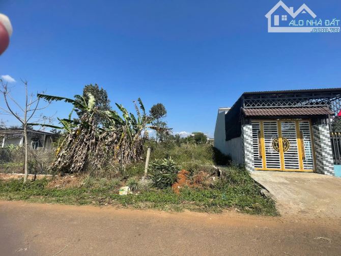 💥Đất TC 5*48m,750tr,Đường Số 1,Phạm Ngũ Lão Thôn 8,nhiều lô khác