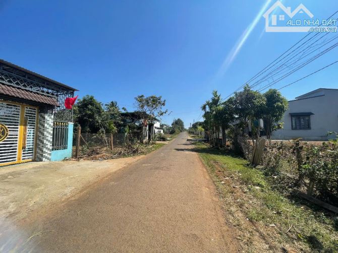 💥Đất TC 5*48m,750tr,Đường Số 1,Phạm Ngũ Lão Thôn 8,nhiều lô khác - 1