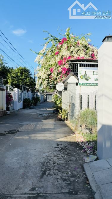 Đất rẻ tại Tp Bà Rịa 206m2-50tc giá 1tỷ2 view núi Dinh đường betong - 1