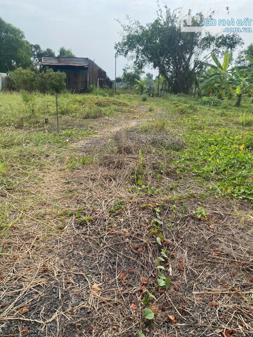Bán rẻ lô đất Bình Chánh 1644m2 KDC đông đúc rất tiềm năng - 1
