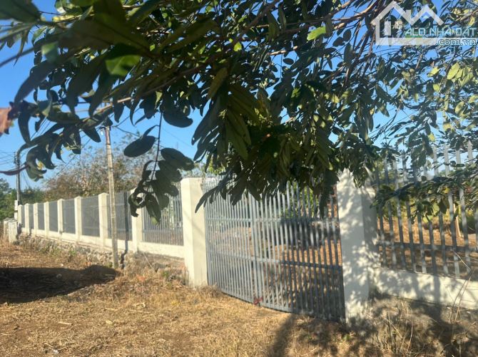💥1.5 Hecta đất có thổ cư thuộc Ea Nuôl Buôn Đôn với 35m mặt tiền đường nhựa - 5.7 tỷ - 1