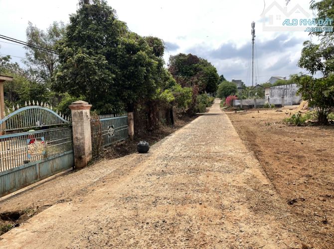 💥Bán Đất TC 5,5*30m,Đường A3,Phạm Ngũ Lão,thôn 4,gần Vành Đai,nhiều lô khác - 2