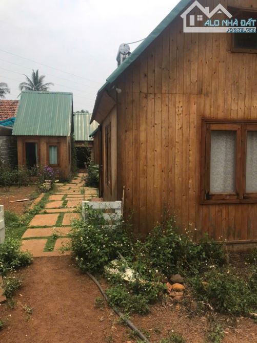 Bán Homestay view giáp suối 15x71m hẻm cấp 2QL14 xã Hòa Xuân giá 3 tỷ - 2