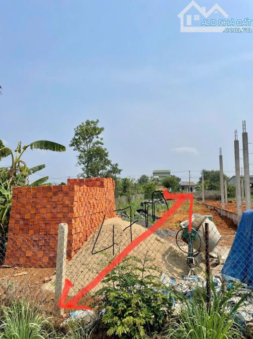 💥Đất TC 5*48m,750tr,Đường Số 1,Phạm Ngũ Lão Thôn 8,nhiều lô khác - 3