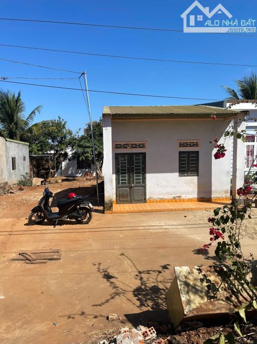 💥Bán Đất TC 5,5*30m,Đường A3,Phạm Ngũ Lão,thôn 4,gần Vành Đai,nhiều lô khác - 3