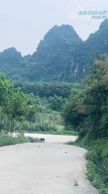 SIÊU PHẨM 4,2HA ĐẤT CLN TẠI LƯƠNG SƠN, HÒA BÌNH. GIÁ VÀI TRĂM K/M - 3