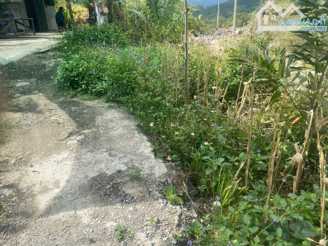 Bán 10.000 m  đất RSX  có sổ hồng, vị trí 2/4 sau KDT Hoàng Phú giá rẻ bán nhanh 1 triệu/m - 3