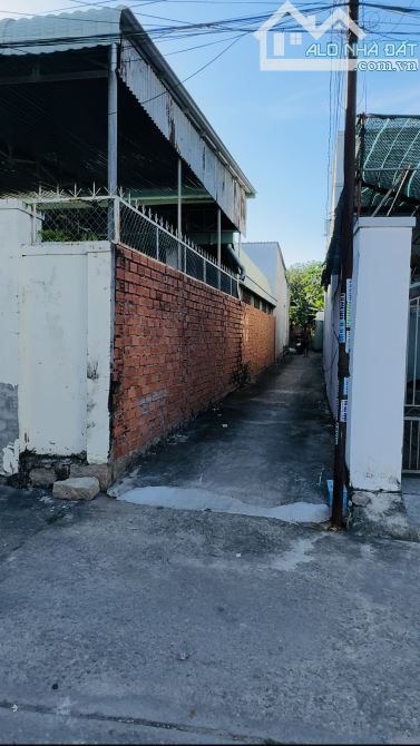 Đất rẻ tại Tp Bà Rịa 206m2-50tc giá 1tỷ2 view núi Dinh đường betong - 3