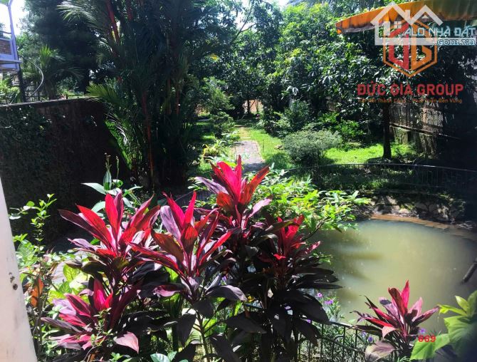 Nhà bán mặt tiền đường Nguyễn Thành Phương mặt hậu view sông Đồng Nai  694m2 giá 48 tỷ - 5