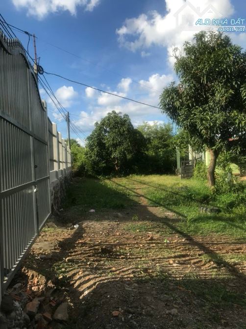 💥1.5 Hecta đất có thổ cư thuộc Ea Nuôl Buôn Đôn với 35m mặt tiền đường nhựa - 5.7 tỷ - 6
