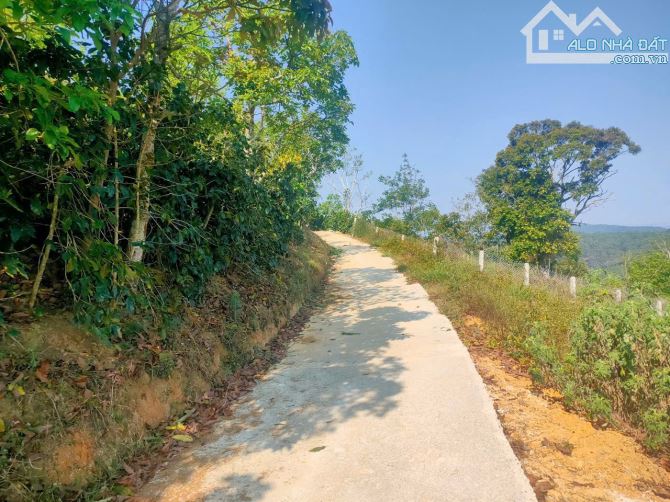 1212 m2 đất nông nghiệp view săn mây vĩnh viễn sổ riêng chia làm 2 thửa