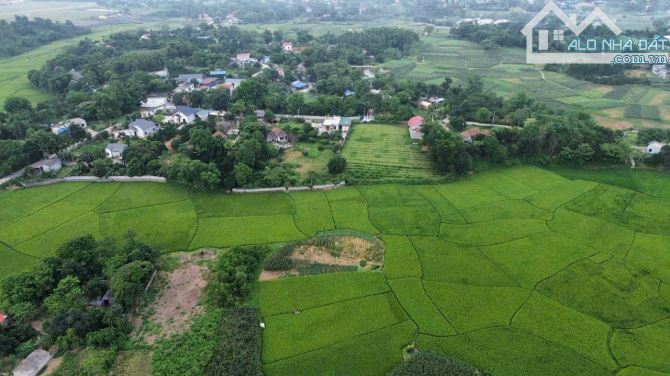 Bán 2000m đất tại Lương Sơn Hoà Bình view cánh đồng tuyệt đẹp - 1