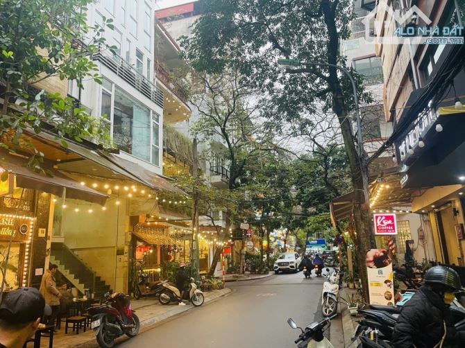 NGUYÊN HỒNG - ĐỐNG ĐA - PHÂN LÔ VIP - NGÕ TO HƠN PHỐ - Ô TÔ TRÁNH - VỈA HÈ - KINH DOANH - 1