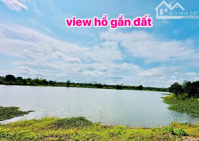 CHỈ 168TR Sở hữu sổ hồng 1400m2 quy hoạch đất ở_ngang 10m gần chợ, gần trường_TX. BUÔN HỒ - 1