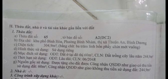 Chính chủ bán 2 lô đất ấp Bình Hòa, Xã Bình Nhâm, Thuận An, Bình Dương - 2