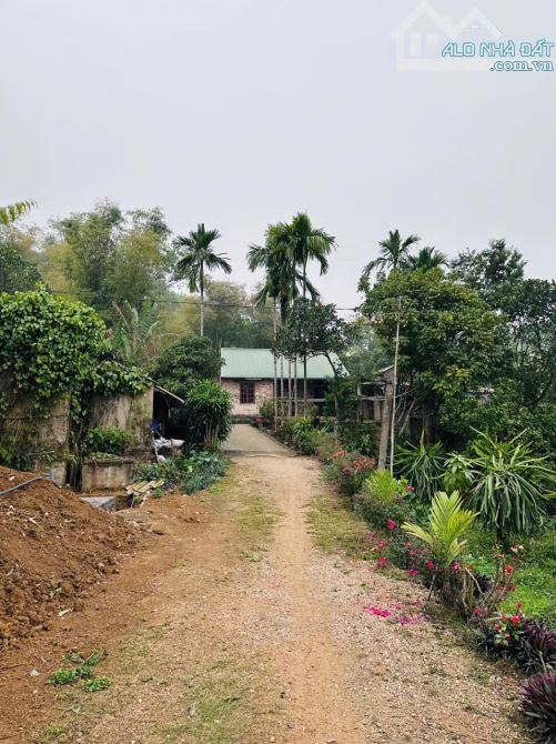 Bán 1750m có 1220 đất ở, sẵn nhà khuân viên sân vườn tại Lương Sơn Hoà Bình - 2