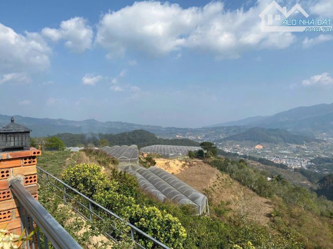 4500m2 đất nn tại Trạm Hành- Đà Lạt, view săn mây, nhìn toàn cảnh Dran, đất bằng phẳng - 3