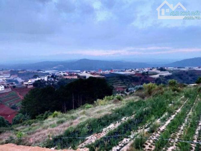 3000m2 đất nn view săn mây, tại Xuân Thọ -Đà Lạt, đất làm sơ cảnh quan, gần Ql - 8