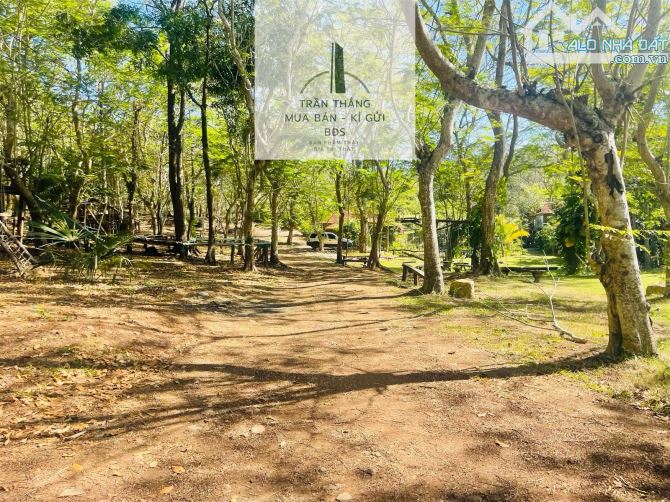 Đất Giáp Rừng Sao Xã Suối Rao - Gần Nhiều Khu Nghĩ Dưỡng Suối Rao Forest , Ecologe....