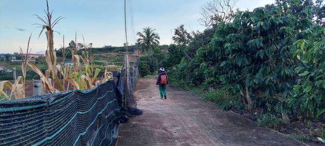 Bán lô đất khu làng chùa Đại Ninh- Xã Phú Hội- Đức Trọng-Lâm Đồng