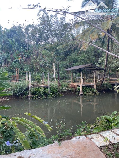 💥 BÁN 2 SÀO ĐẤT VIEW ĐẸP, HẺM NGUYỄN CÔNG TRỨ - TRUNG TÂM TP. BMT . 8 TỶ