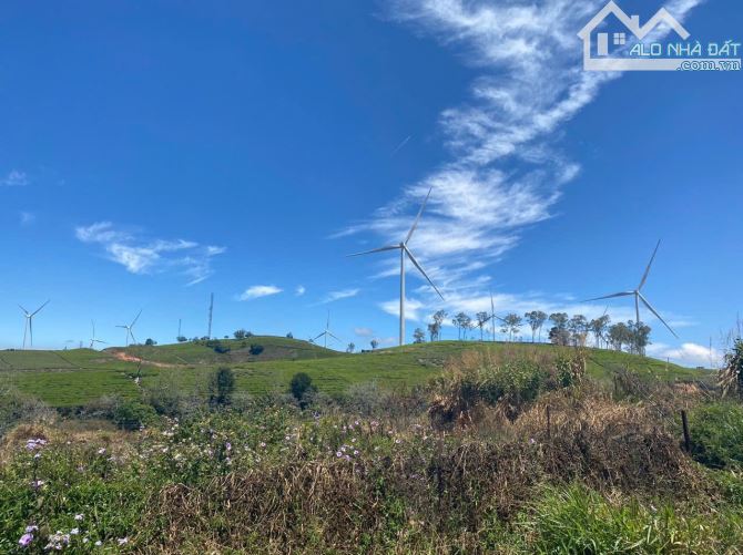 1341m2 đất qh thổ cư tại Trạm Hành- Đà Lạt, cách Ql 10m, view điện gió. Giâ 5,3 tỷ