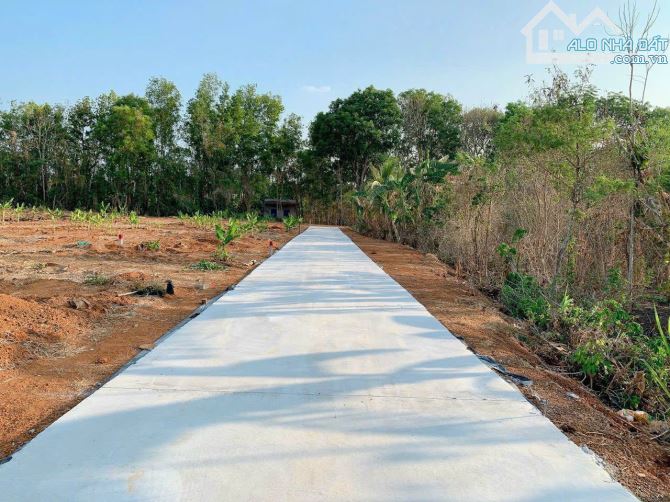 Bán khoảng 1 sào (1010m2) đất Láng Lớn, huyện Châu Đức, BRVT. - 1