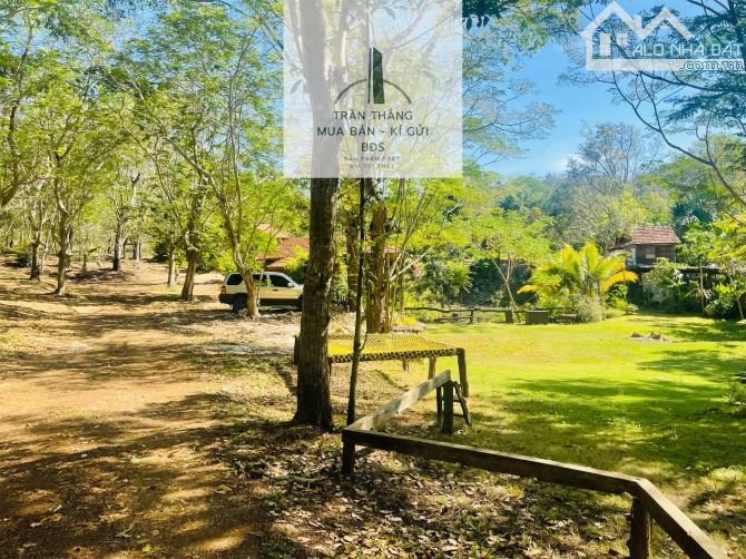 Đất Giáp Rừng Sao Xã Suối Rao - Gần Nhiều Khu Nghĩ Dưỡng Suối Rao Forest , Ecologe.... - 1