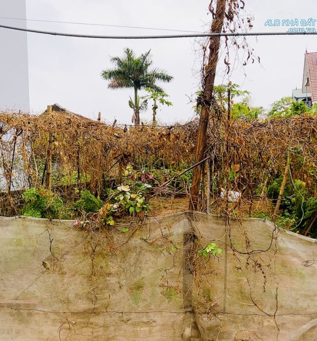Bánn đất đẹp lô góc ô tô vào tận đất Khê Nữ  Đông Anh 62m zá rẻ - 1