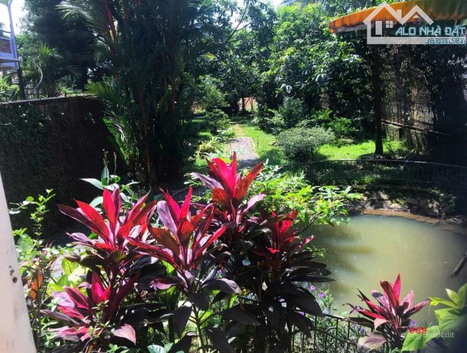 Nhà 2 mặt tiền P. Thống Nhất, mặt sau view sông Đồng Nai. hơn 600m full tc. Giá chỉ 48 tỷ. - 1