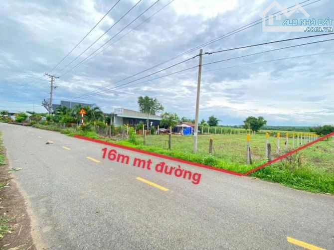 Bán đất gần hồ tràm đường nhựa tim vàng dt 880m giá 2ty3 - 1