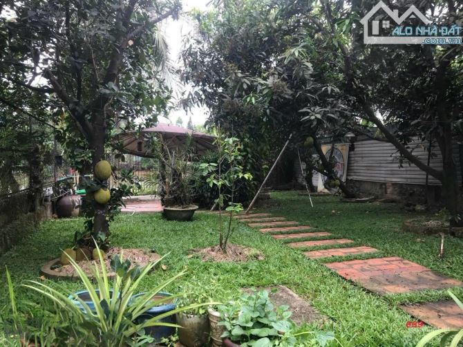 Nhà 2 mặt tiền P. Thống Nhất, mặt sau view sông Đồng Nai. hơn 600m full tc. Giá chỉ 48 tỷ. - 2
