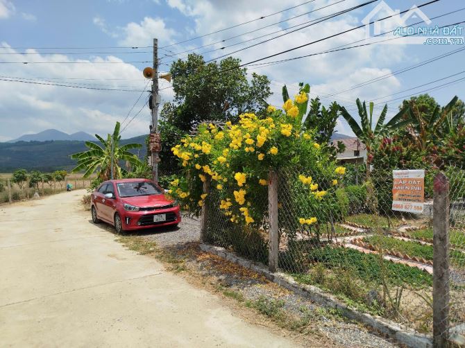 Bán nhà vườn siêu đẹp, Diên Lâm, Diên Khánh, chỉ việc vào ở thôi ạ. - 3