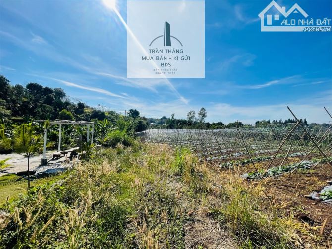 Đất Giáp Rừng Sao Xã Suối Rao - Gần Nhiều Khu Nghĩ Dưỡng Suối Rao Forest , Ecologe.... - 4
