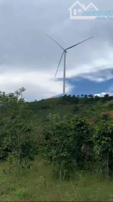 1341m2 đất qh thổ cư tại Trạm Hành- Đà Lạt, cách Ql 10m, view điện gió. Giâ 5,3 tỷ - 4