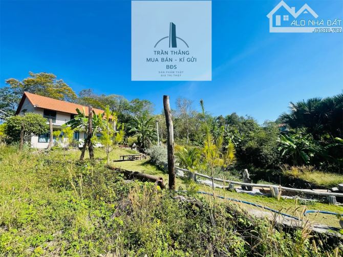 Đất Giáp Rừng Sao Xã Suối Rao - Gần Nhiều Khu Nghĩ Dưỡng Suối Rao Forest , Ecologe.... - 5