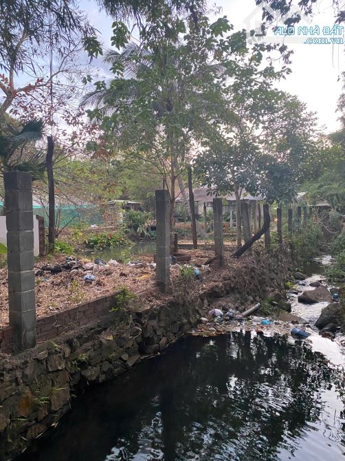 💥 BÁN 2 SÀO ĐẤT VIEW ĐẸP, HẺM NGUYỄN CÔNG TRỨ - TRUNG TÂM TP. BMT . 8 TỶ - 5