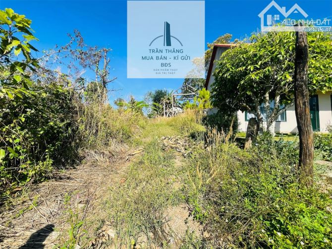Đất Giáp Rừng Sao Xã Suối Rao - Gần Nhiều Khu Nghĩ Dưỡng Suối Rao Forest , Ecologe.... - 6