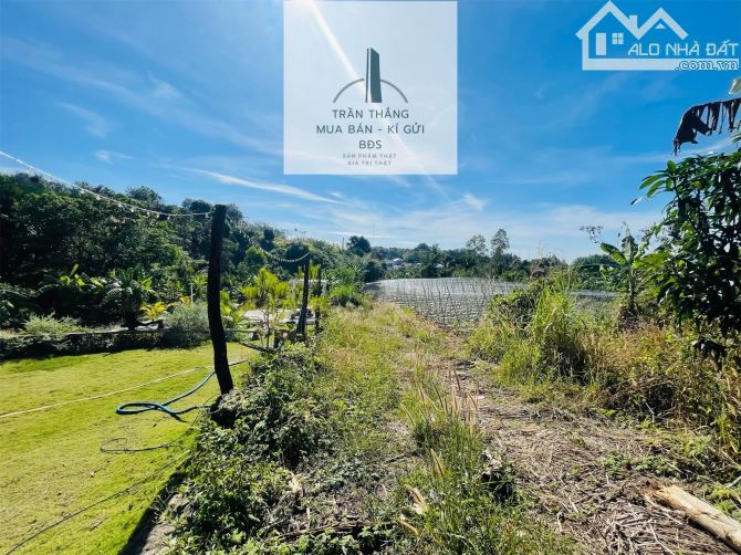 Đất Giáp Rừng Sao Xã Suối Rao - Gần Nhiều Khu Nghĩ Dưỡng Suối Rao Forest , Ecologe.... - 8