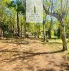 Đất Giáp Rừng Sao Xã Suối Rao - Gần Nhiều Khu Nghĩ Dưỡng Suối Rao Forest , Ecologe....