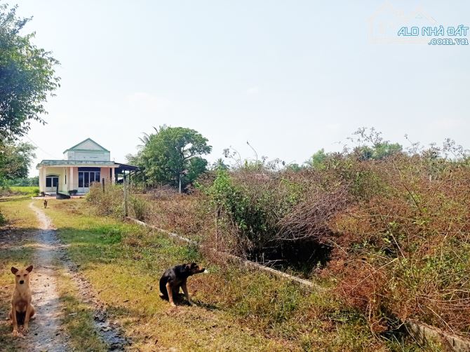 Bán đất 2 mặt tiền 1/ Huỳnh Thị Kiểu - 696m2 - 21x28 nở hậu 26m - 150m2 thổ cư - xã Trung