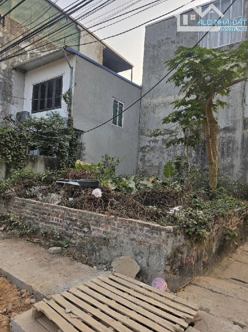 ĐÔNG MỸ, THANH TRÌ Ô TÔ VÀO ĐẤT 60M2 LÔ GÓC MẶT TIỀN RỘNG 4,6 TỶ