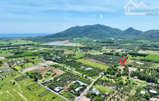 Bán 2 lô liền kề 12x40m View núi Thị trấn Phước Hải