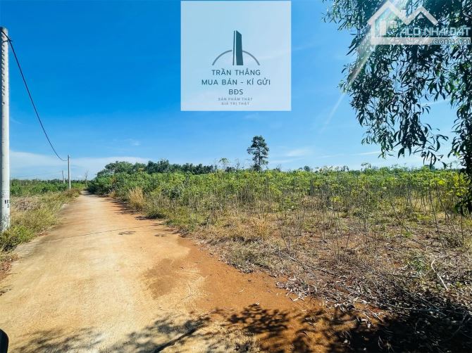 1sào3 Đất Xã Sơn Bình Gần Khu Dân Cư, Đường Ô Tô , Giá Chỉ 950triệu - 1