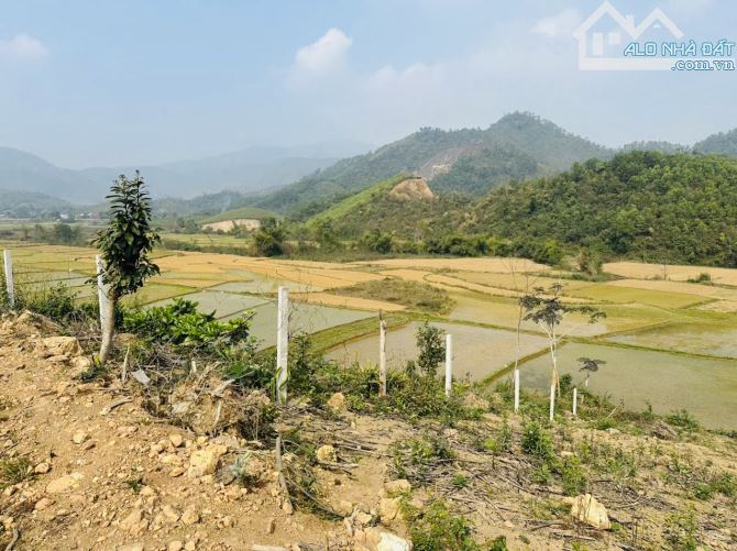 1733M2 4,5 TRIỆU/M2 VIEW CÁNH ĐỒNG ĐẸP HOÀ LẠC - 1