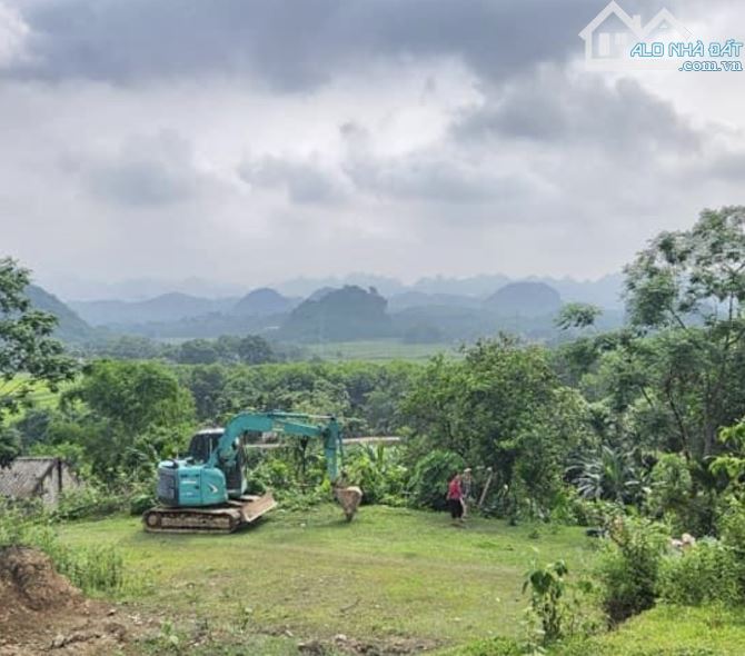 Bán không qua trung gian 3228m FULL đất ở tại Cao Dương giá 2,2tr/m2. Đất vieư cực đẹp - 1