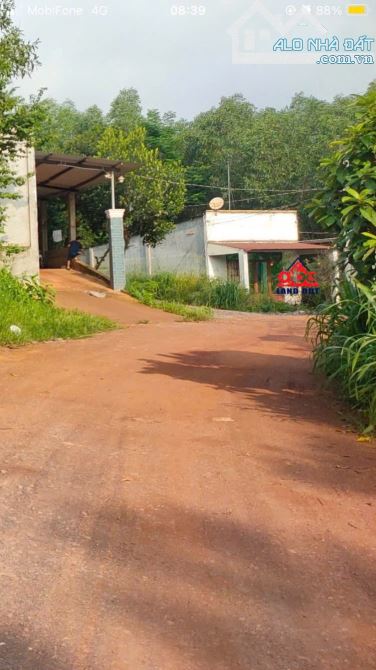 D064 Chủ hạ giá bán nhanh chỉ còn 8tỉ( giá cũ 14ti) 🆘 chủ cần bán hơn 1ha đất tân an vĩnh - 1