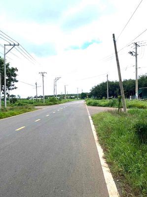 Bán Lô đất 2500m2 đất đường nhựa , Bình Dương  giá 750 triệu,sổ hồng - 1
